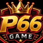 p66 game