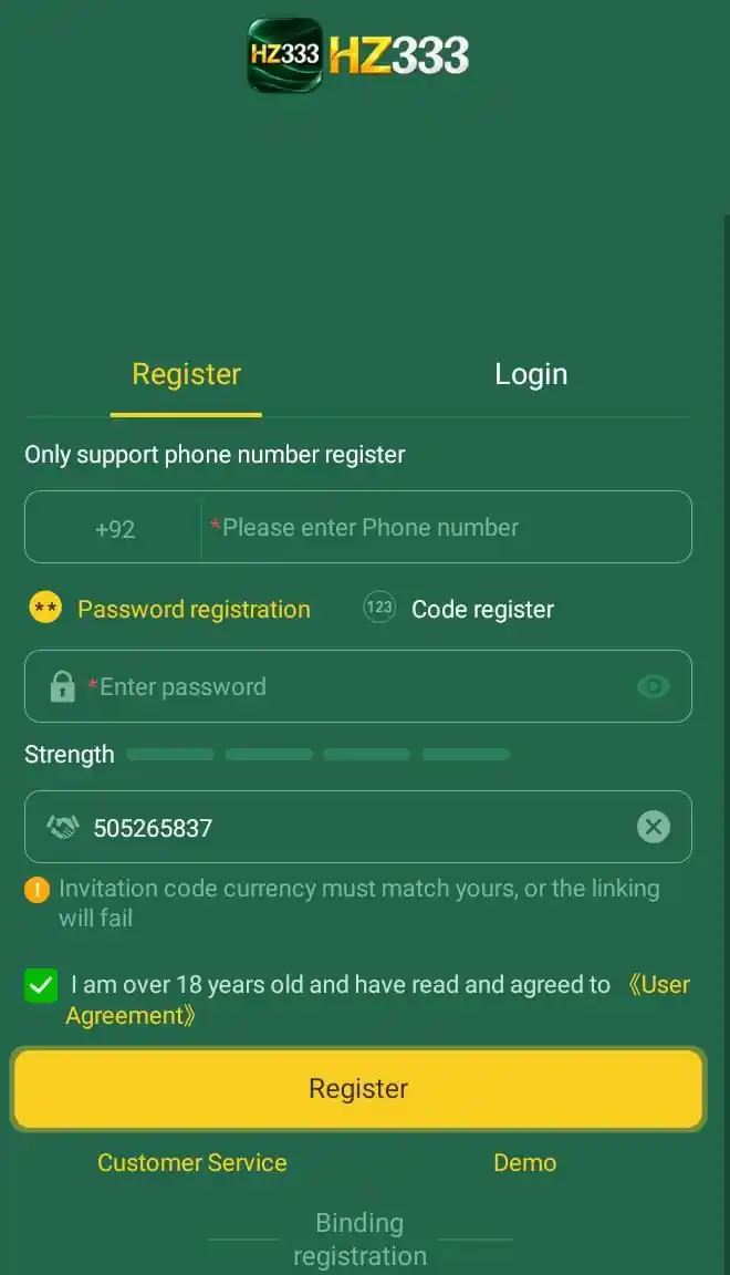 hz333 game